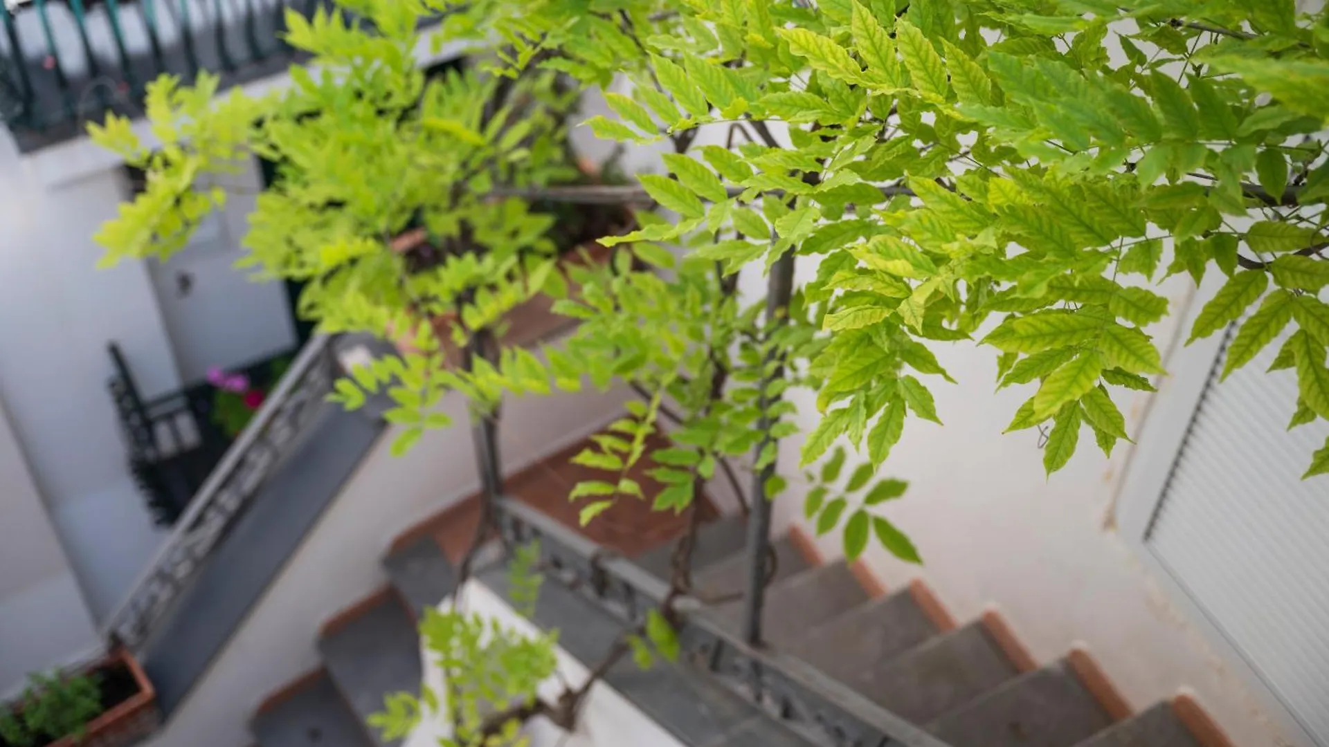 阿马尔菲安堤卡雷普利卡酒店 酒店